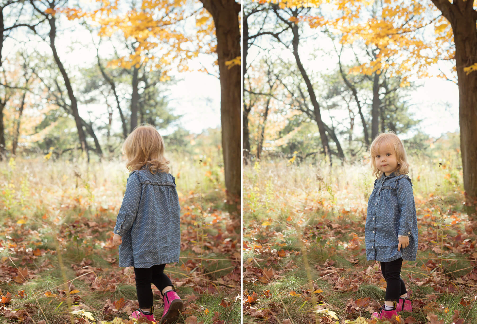 fall toddler photoshoot high park