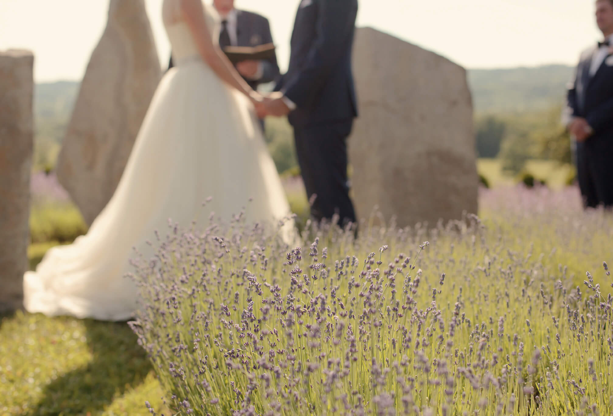 lavender ceremony ontario