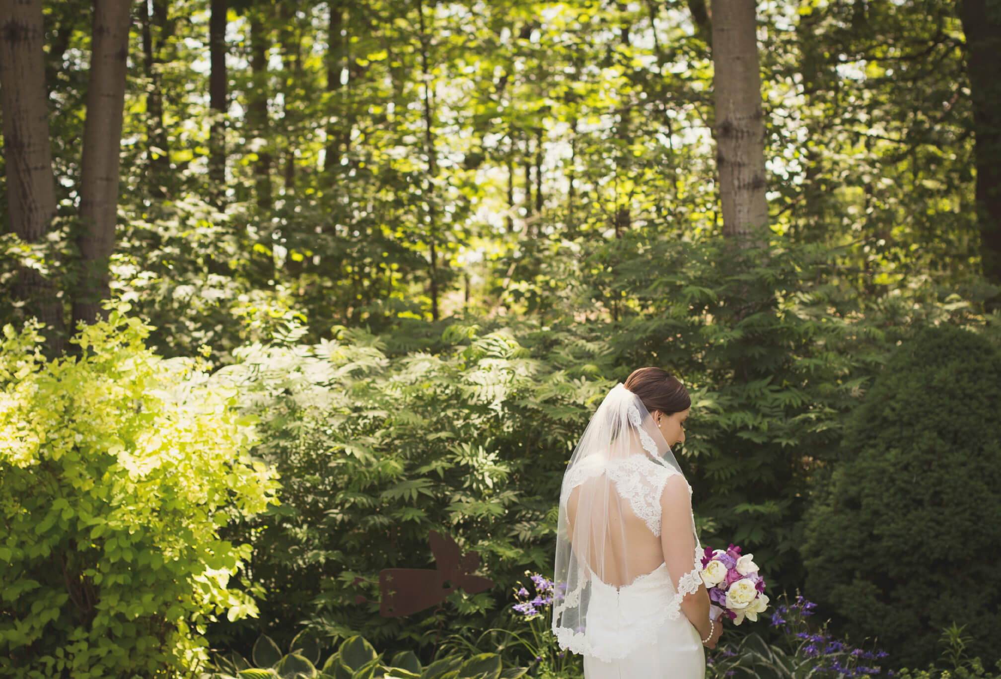 bride with majestic forest background