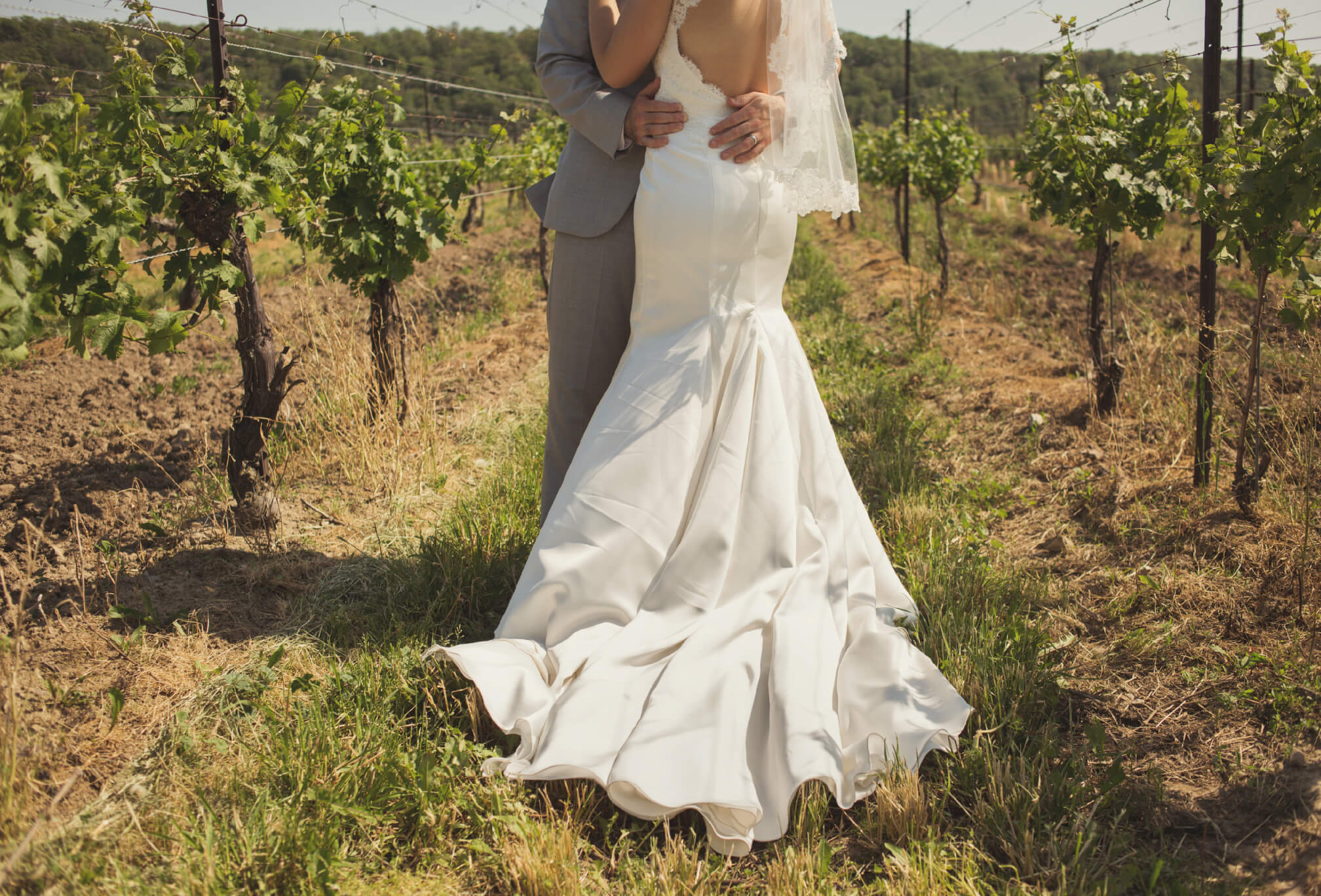bride in vineyard ontario