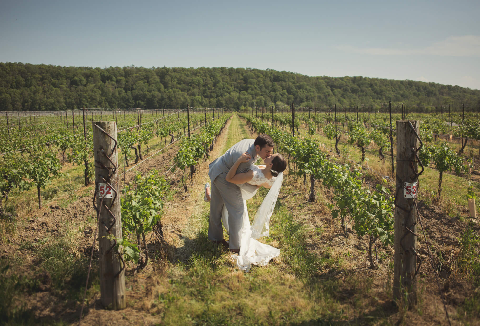 bride and groom vineyard photography