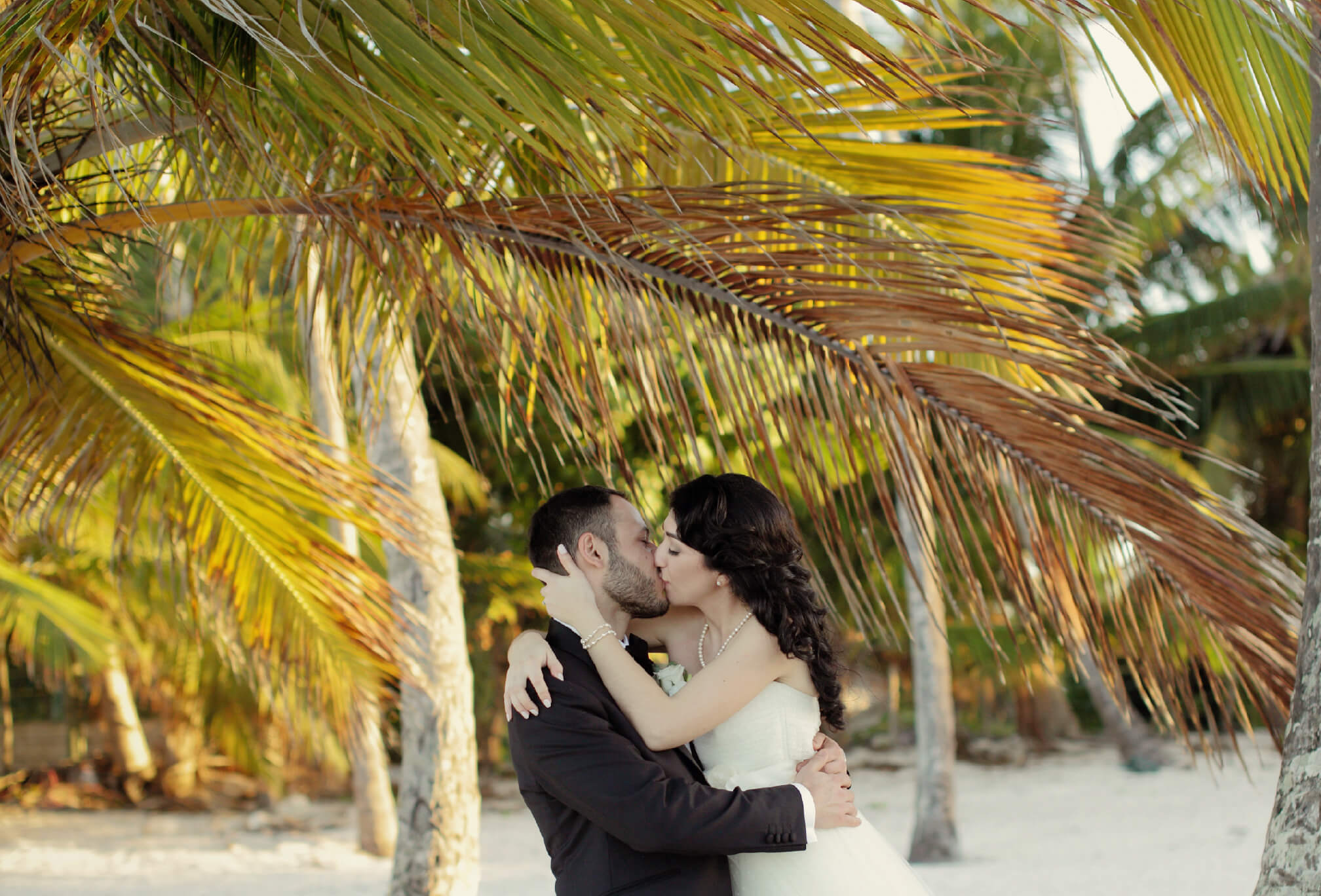 palm tree kiss