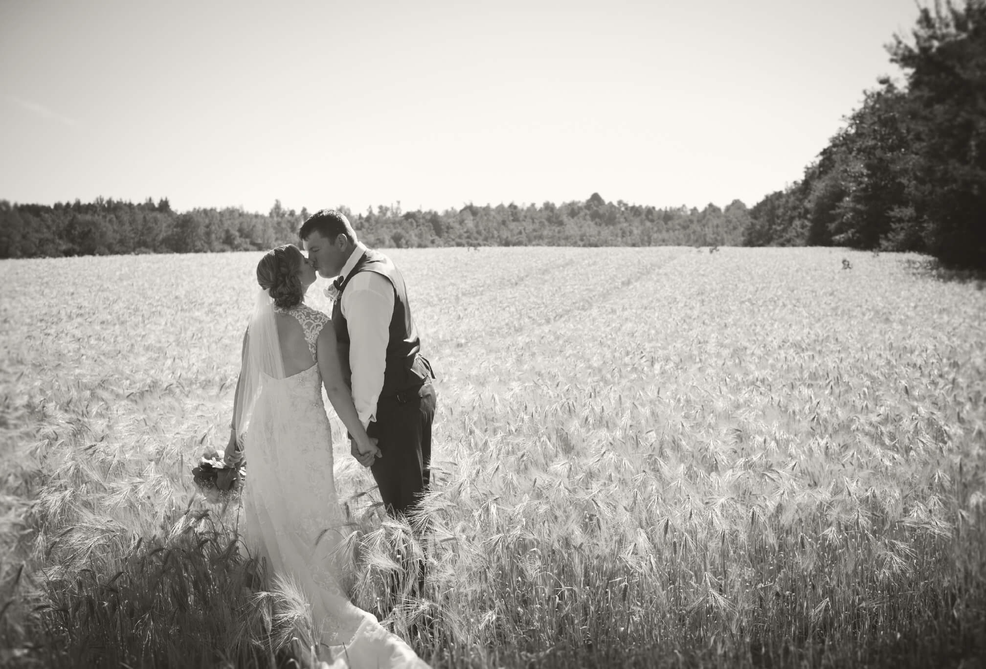 wheat field bride and groom