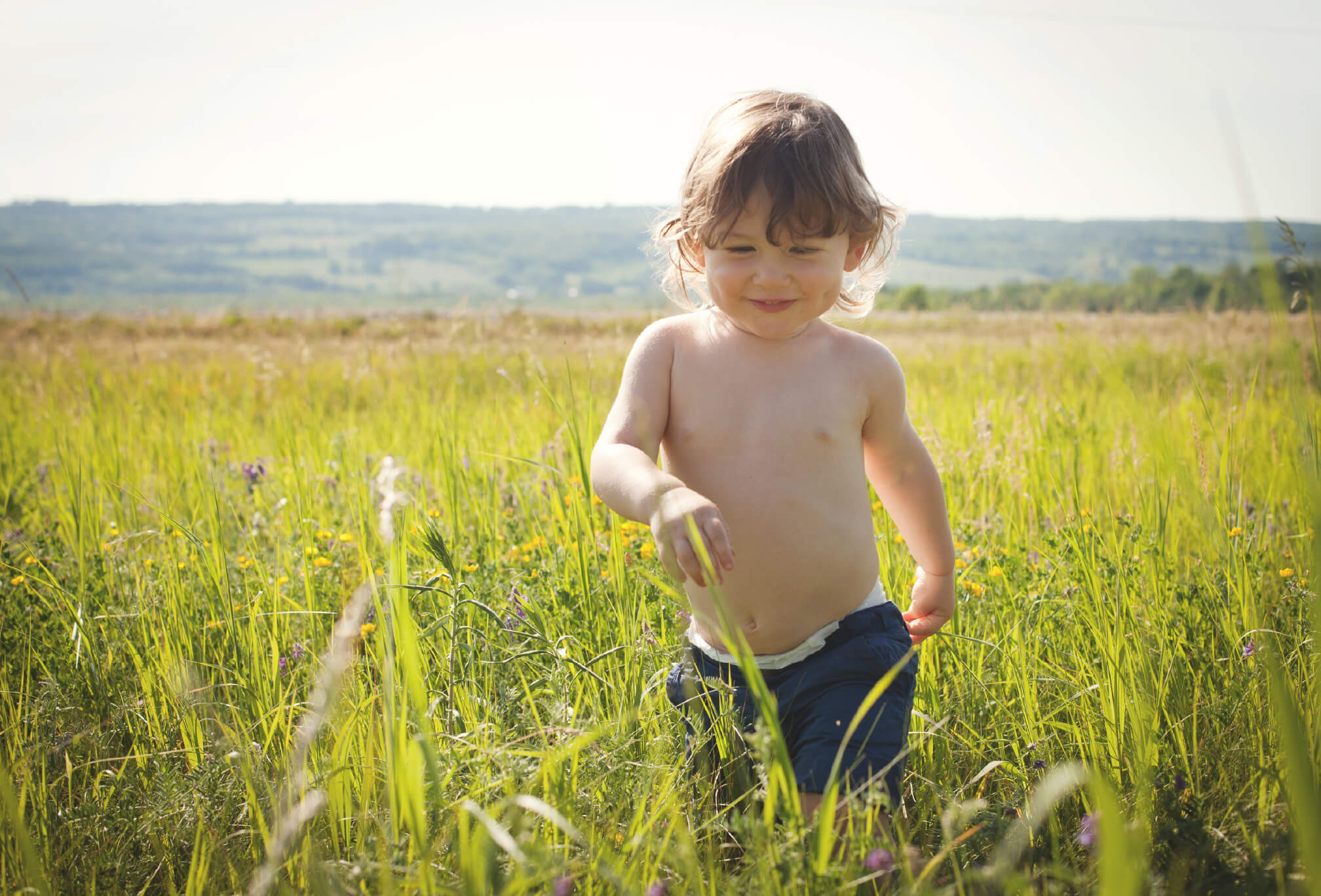 toddler photography wildflower field