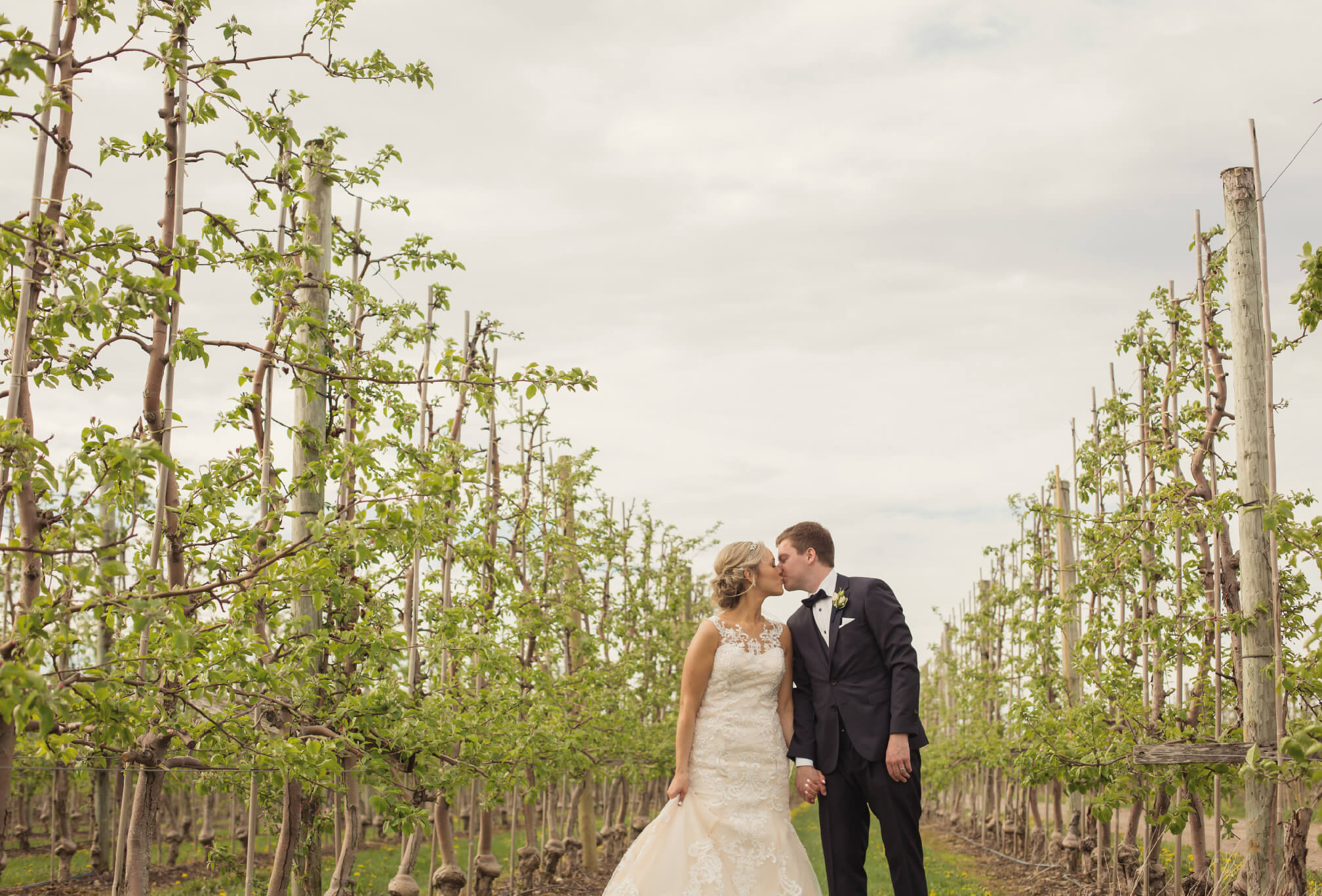 apple orchard wedding photography ontario