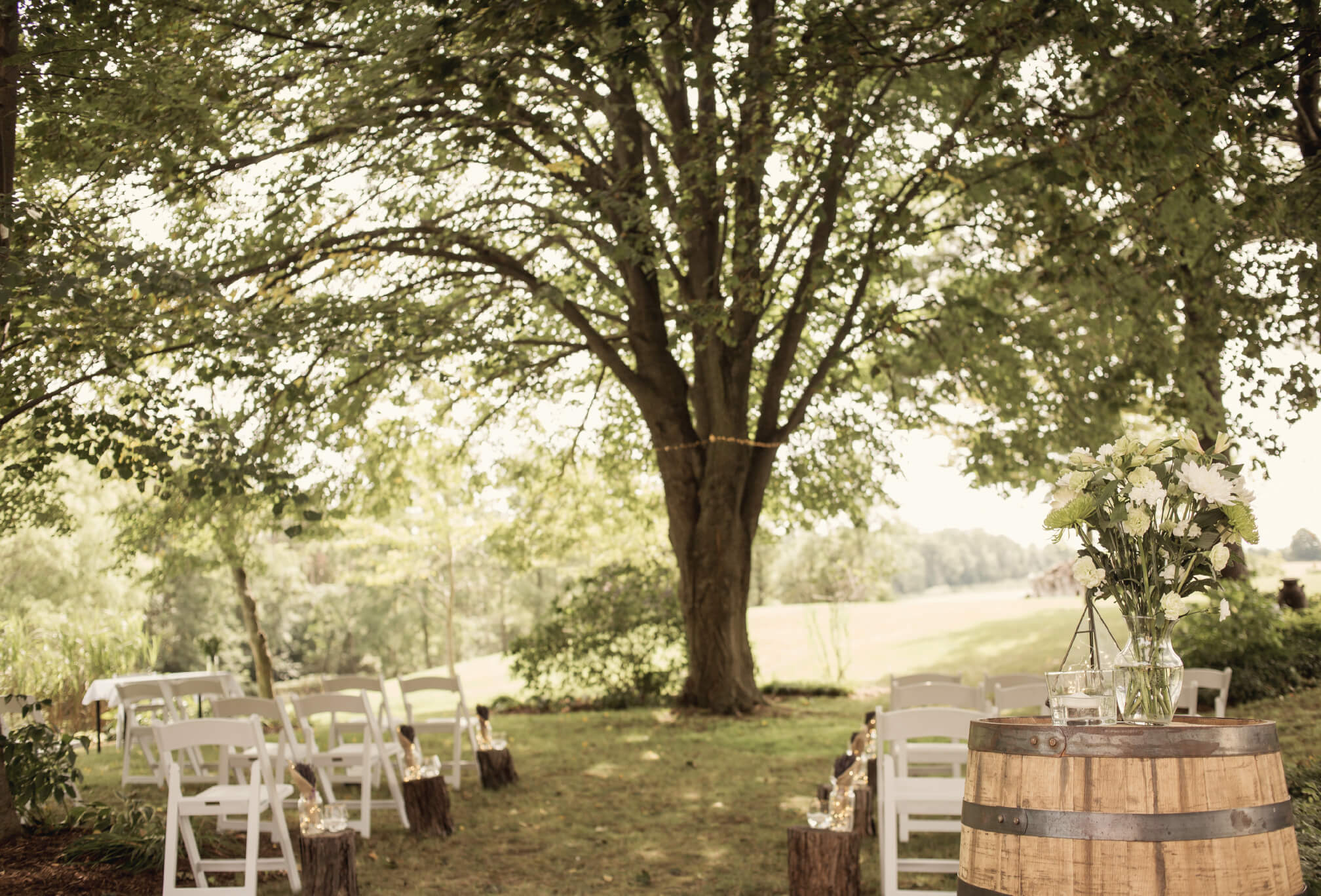 Romantic Backyard Ceremony In The Country Tied Photo Films